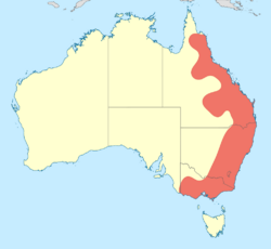 Austroargiolestes distribution map.svg