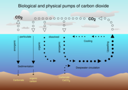 CO2 pump hg.svg