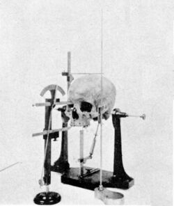 Craniometry skull 1902.jpg