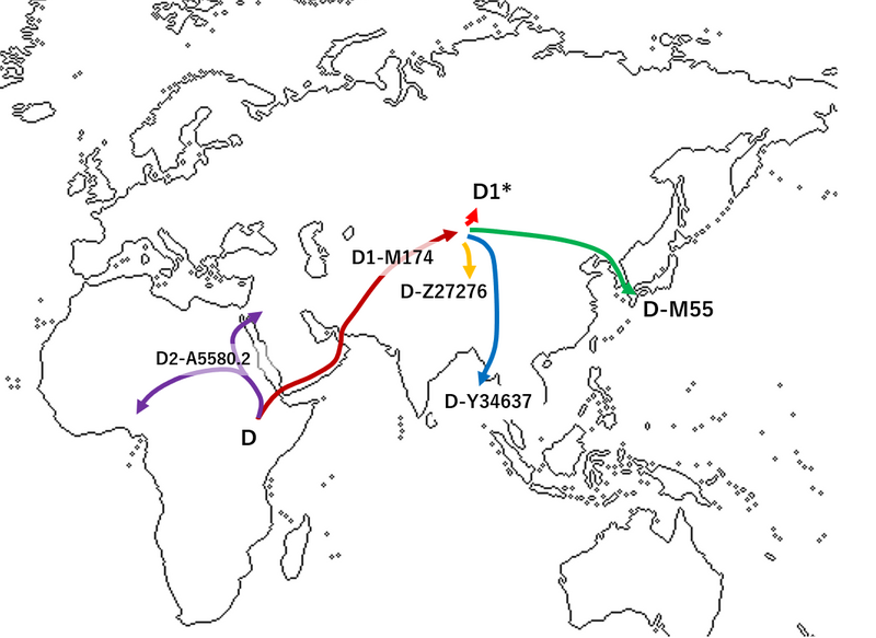 File:Haplogroup D (Y-DNA) migration.png