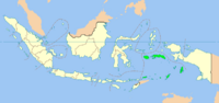 IndonesiaMaluku.png
