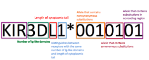 Nomenclature diagram