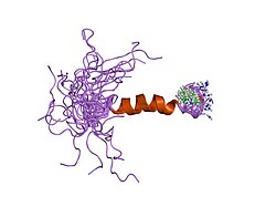 PDB 1fvn EBI.jpg