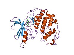 PDB 1pf8 EBI.jpg