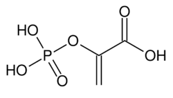 Phosphoenolpyruvic acid.svg