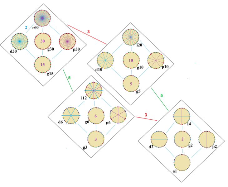 File:Symmetries of triacontagon.png