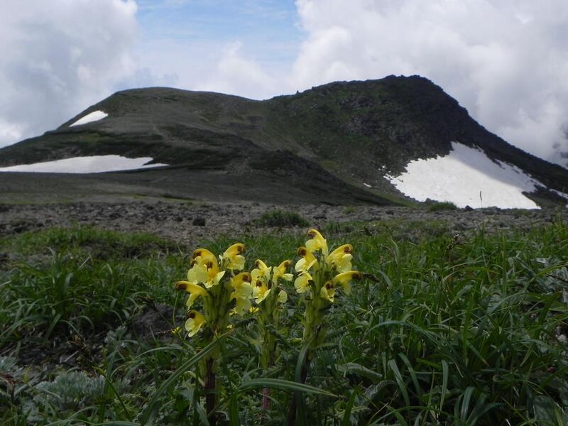 File:白雲岳（Mt.Hakuun） - panoramio.jpg