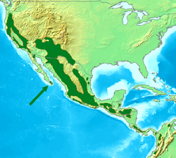 Acorn Woodpecker Distribution Map.png