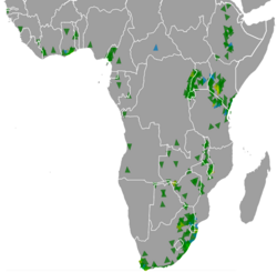 Black Goshawk ebird data map.png