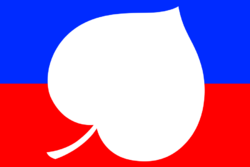 Flag of Slovio.svg