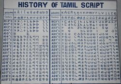 History of Tamil script.jpg