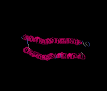 I-Tasser Predicted Tertiary Structure 2.png