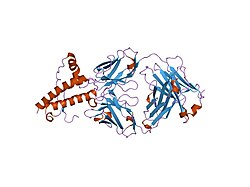 PDB 1tqc EBI.jpg