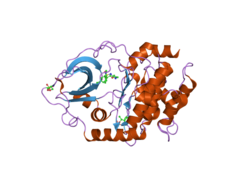 PDB 2jdt EBI.png