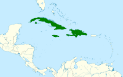Tachornis phoenicobia map.svg