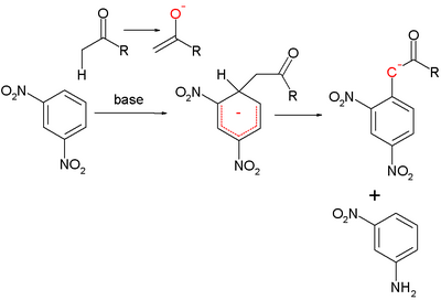 Scheme 3 - Zimmermann reaction