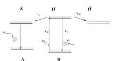 FRET-Jablonski-diagram.jpg