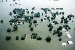 Kaskaskia Island 1993 flooding.jpg