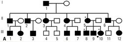 Lifelong cyanosis and skin color and arterial blood color in the patient's family (cropped A).jpg