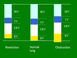 Lung volumes in restricted, normal and obstructed lung.jpg