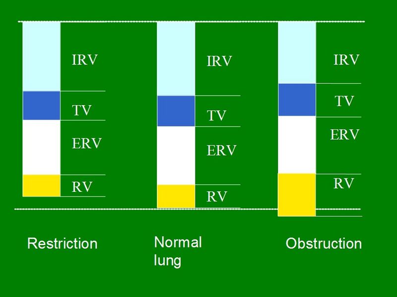 File:Lung volumes in restricted, normal and obstructed lung.jpg