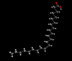 Nervonic acid 3D.png