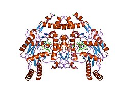 PDB 1rs9 EBI.jpg