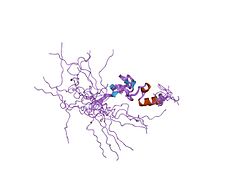 PDB 2ct7 EBI.jpg