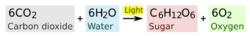 Photosynthesis equation.svg