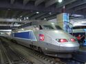 TGV Gare Montparnasse.jpg