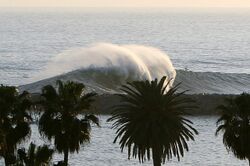 Wedge-Newport Beach Wave.JPG