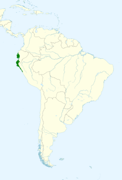 Cantorchilus superciliaris map.svg