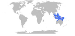 Chironex fleckeri Range Map.svg