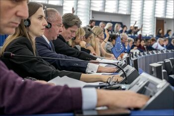 The EU has 24 languages it translates and operates within. The image shows MEPs adopting their position on the 2020 EU budget through translator communication.