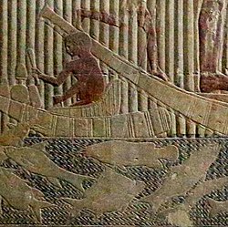 Electric catfish in Mastaba of Ti bas-relief detail.jpg