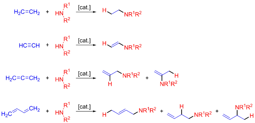 Prototypical intermolecular hydroamination reactions.