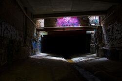 Hobart Rivulet Underground.jpg