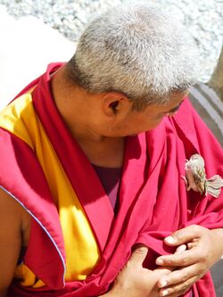 Likir Gompa monk with injured sparrow.jpg