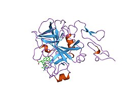 PDB 1fax EBI.jpg