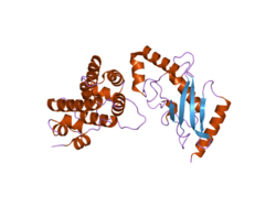 PDB 2gro EBI.png