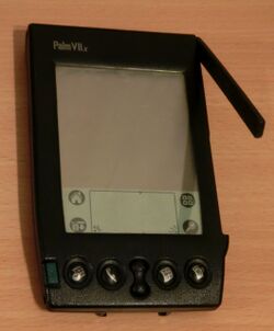 Palm VIIx.jpg