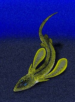 Pseudopetalichthys problematica.jpg