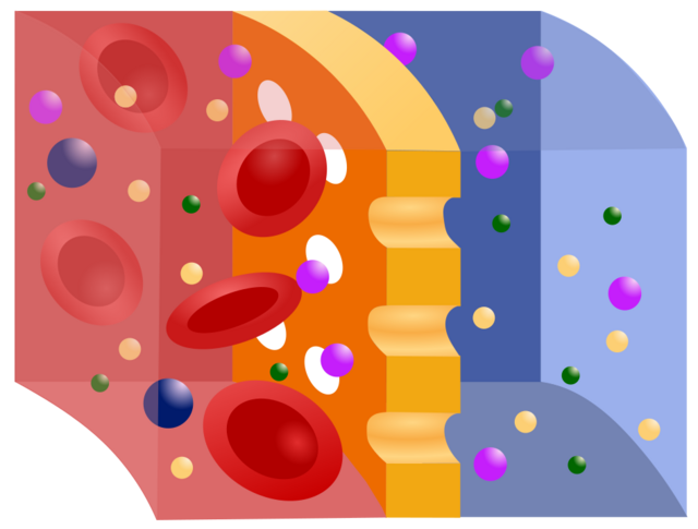 physics-semipermeable-membrane-handwiki