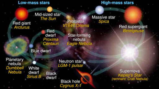 File:Star life cycles red dwarf en.svg