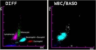 A scatter plot displaying many differently coloured clusters, labelled with the type of white blood cell they correspond to.