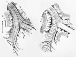 Tyndall 1896 Figure 7-37-MJ2.jpg