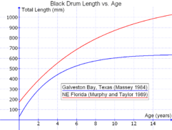 Black Drum Length vs. Age.png