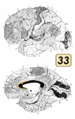 Thumbnail for version as of 18:18, 4 October 2022