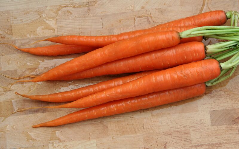 File:CarrotRoots.jpg