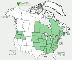 Dicentra cucullaria US-dist-map.png
